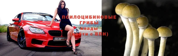 сатива Баксан