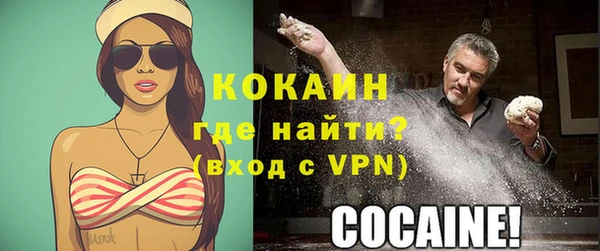 сатива Баксан
