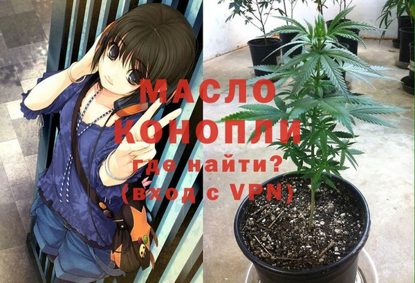 сатива Баксан